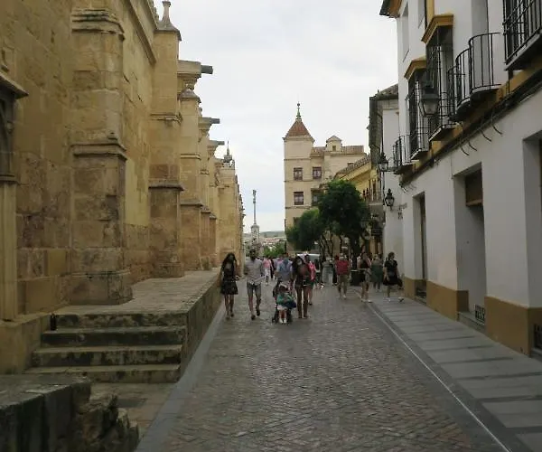 Calle De La Convalecencia *