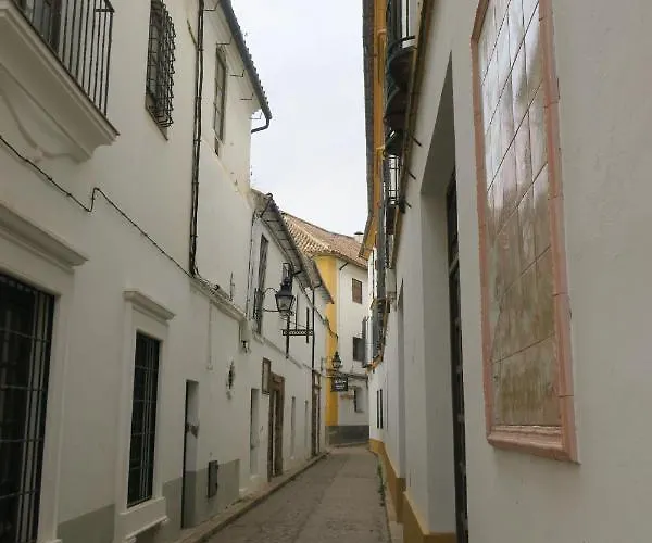 아파트 Calle De La Convalecencia *