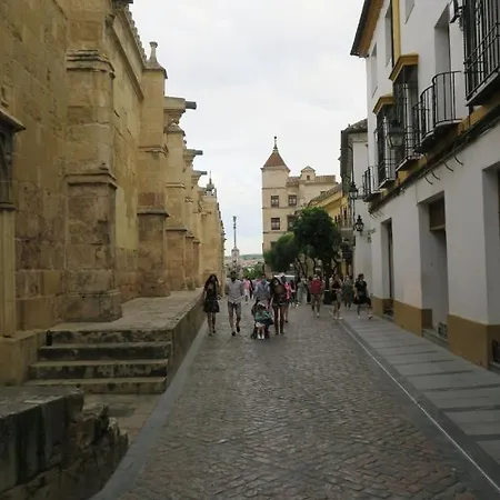 Calle De La Convalecencia *